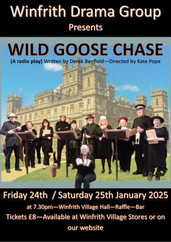 New-Wild-Goose-Chase-Poster